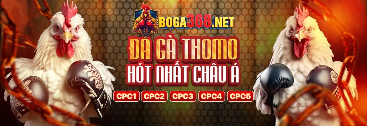 Sân đấu gà trực tuyến hi88 hiện đang mở
